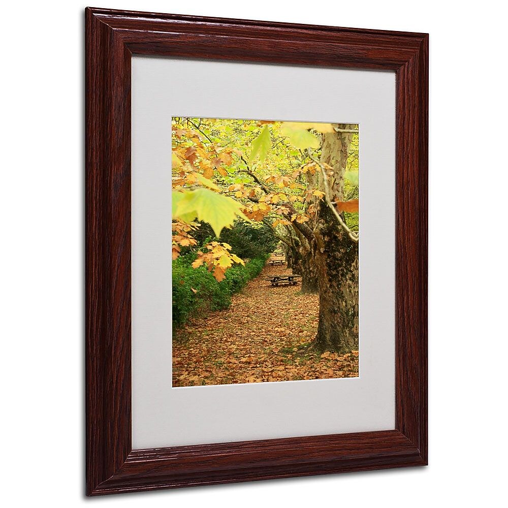 Trademark Fine Art 14" x 11" Acrylic Autumn, Wood Frame