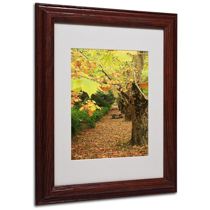 Trademark Fine Art 14" x 11" Acrylic Autumn, Wood Frame
