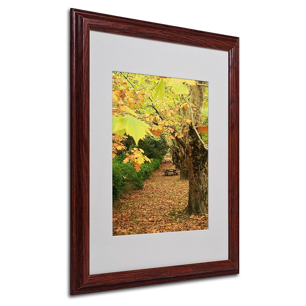 Trademark Fine Art 16" x 20" Acrylic Autumn, Dark Wood Frame