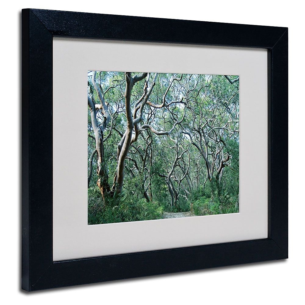 Trademark Fine Art 11" x 14" Acrylic Beautiful Minds, Black Frame