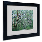 Trademark Fine Art 11" x 14" Acrylic Beautiful Minds, Black Frame