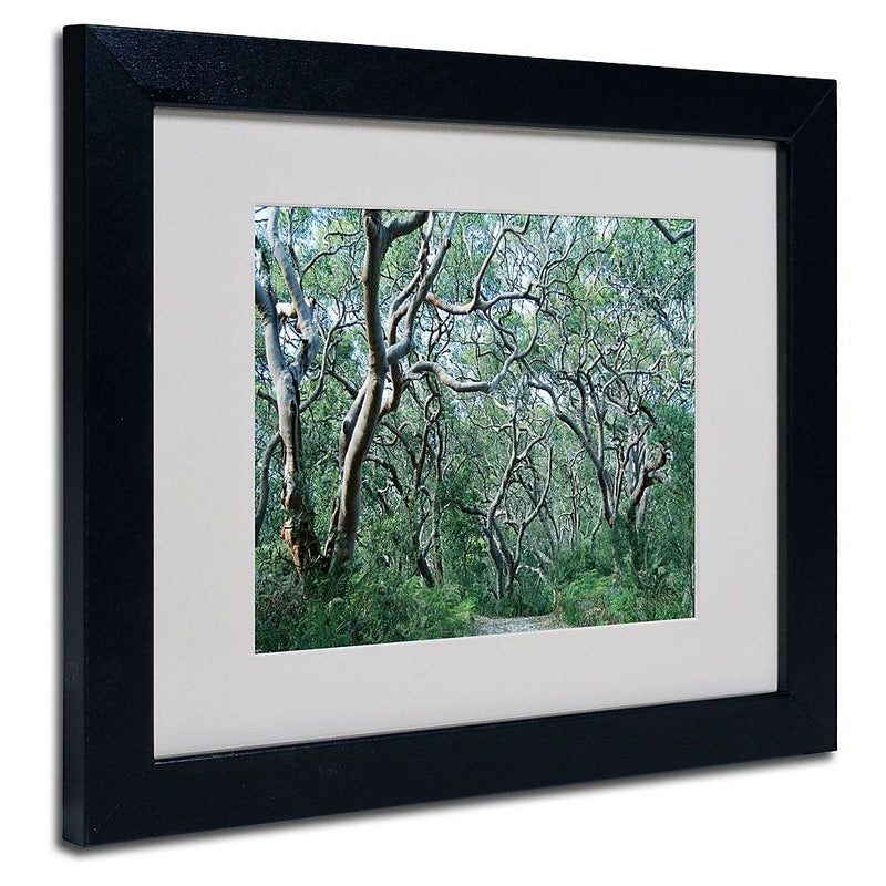 Trademark Fine Art 11" x 14" Acrylic Beautiful Minds, Black Frame