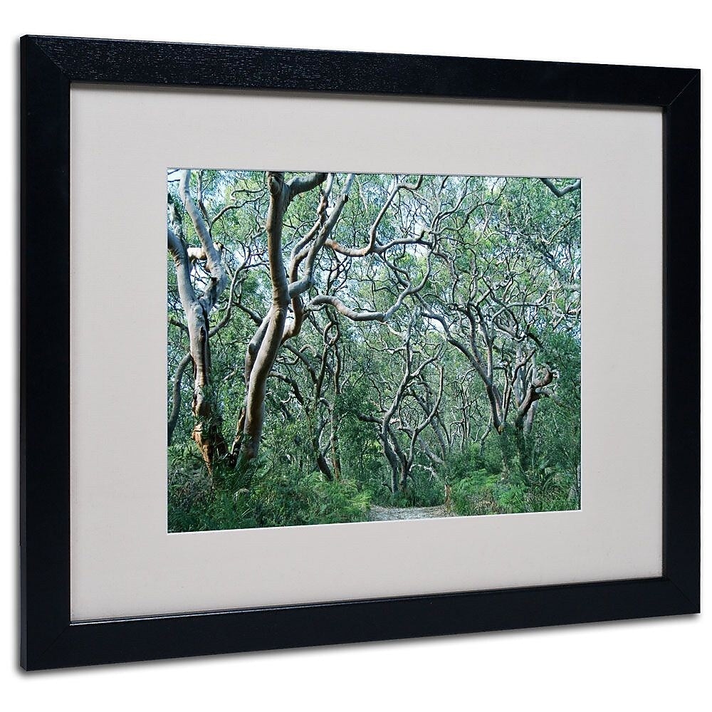 Trademark Fine Art 16" x 20" Acrylic Beautiful Minds, Black Frame