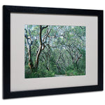 Trademark Fine Art 16" x 20" Acrylic Beautiful Minds, Black Frame