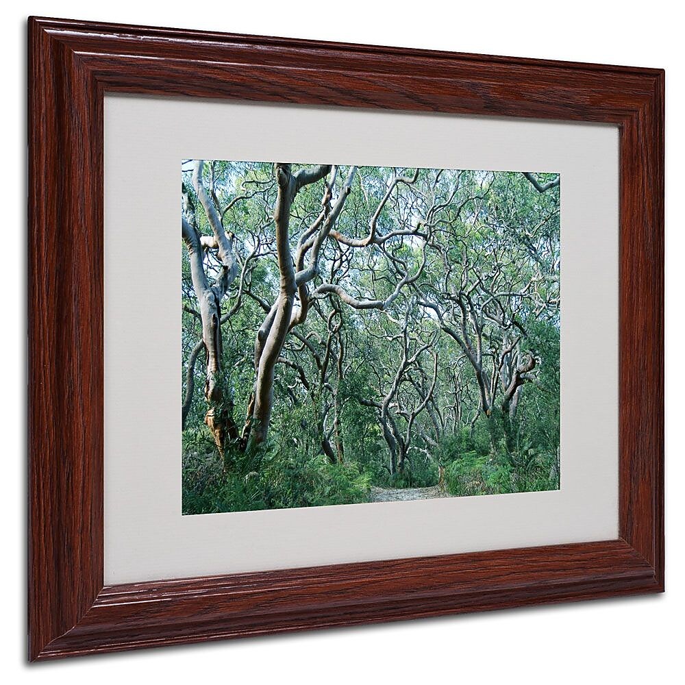 Trademark Fine Art 11" x 14" Acrylic Beautiful Minds, Dark Wooden Frame