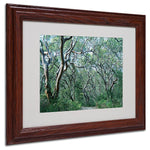 Trademark Fine Art 11" x 14" Acrylic Beautiful Minds, Dark Wooden Frame