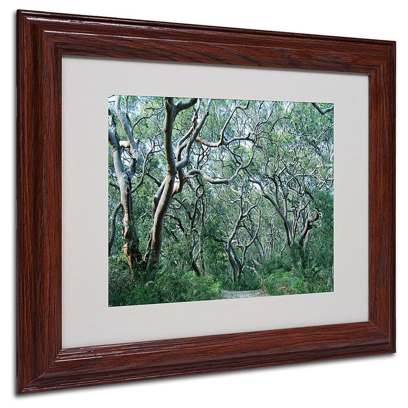 Trademark Fine Art 11" x 14" Acrylic Beautiful Minds, Dark Wooden Frame