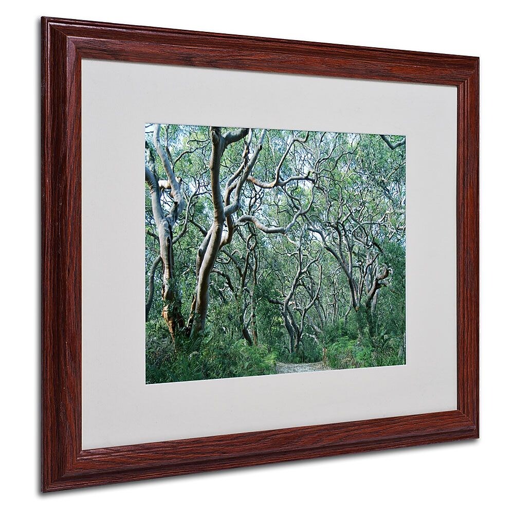 Trademark Fine Art 16" x 20" Acrylic Beautiful Minds, Wood Frame