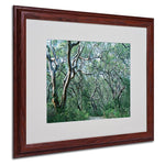 Trademark Fine Art 16" x 20" Acrylic Beautiful Minds, Wood Frame