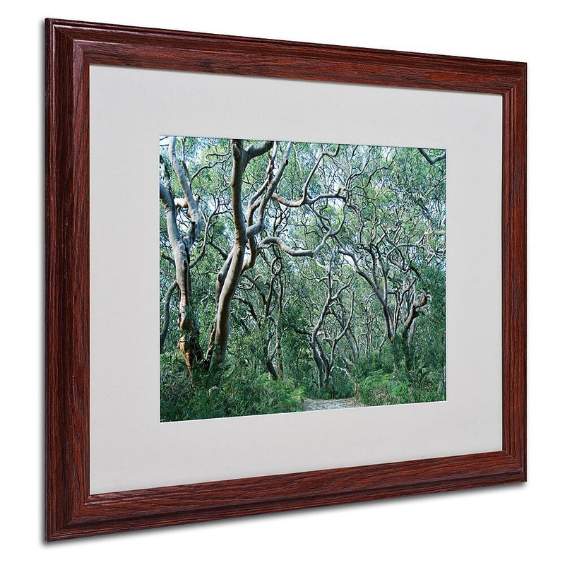 Trademark Fine Art 16" x 20" Acrylic Beautiful Minds, Wood Frame