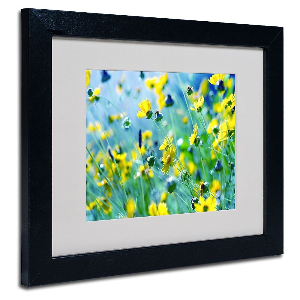Trademark Fine Art 11" x 14" Acrylic Flower Power, Black Frame