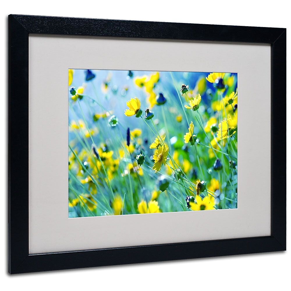 Trademark Fine Art 16" x 20" Canvas Flower Power, Black Frame