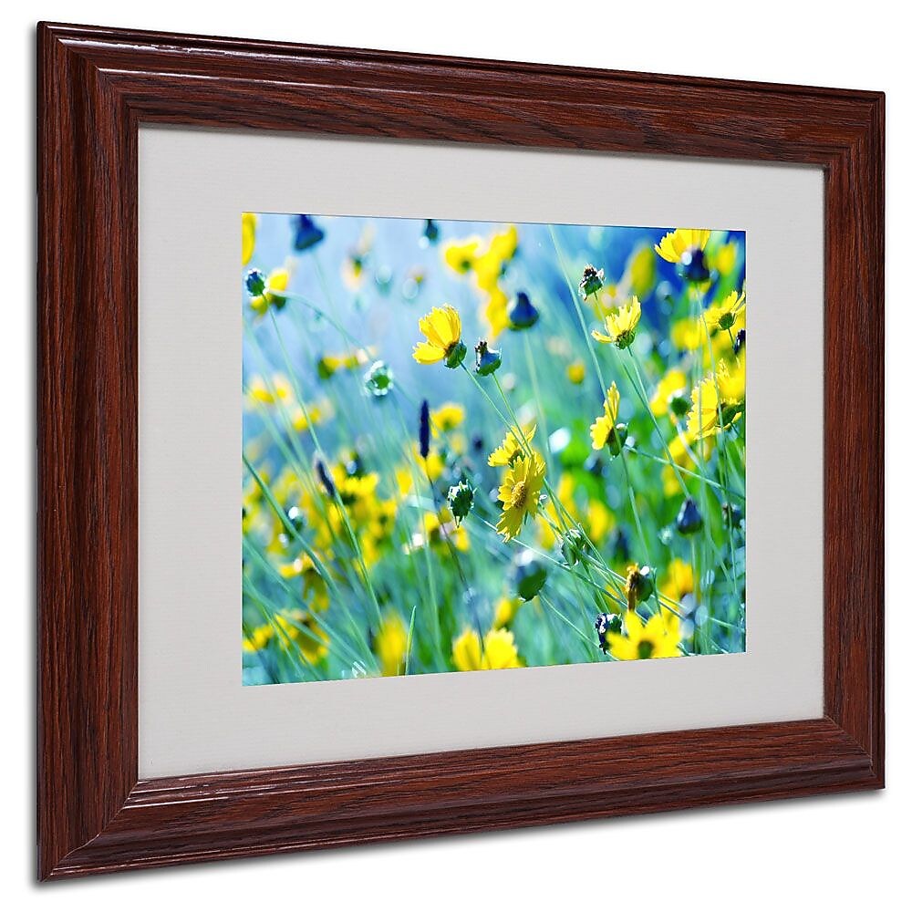 Trademark Fine Art 11" x 14" Acrylic Flower Power, Wood Frame