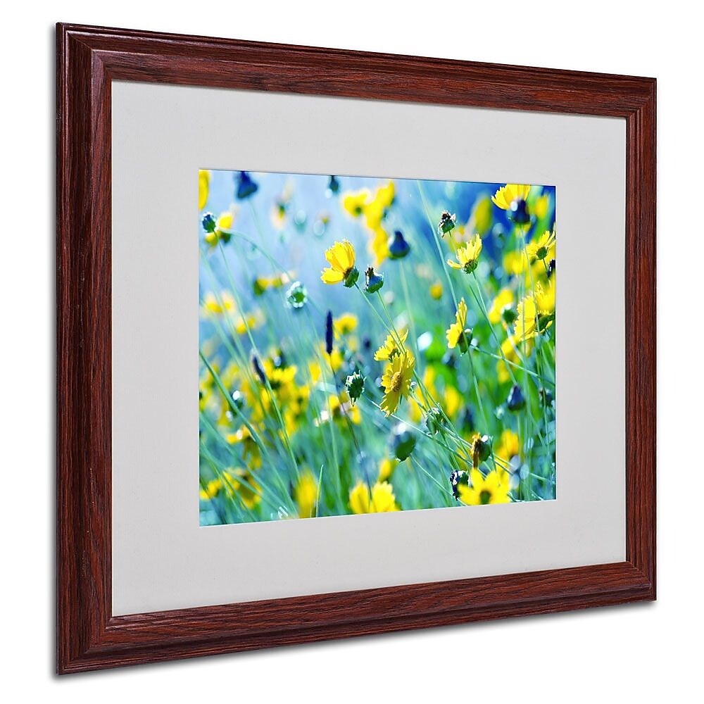 Trademark Fine Art 16" x 20" Canvas Flower Power, Wood Frame