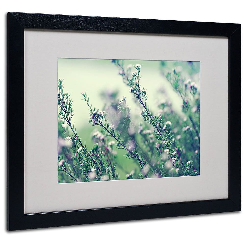 Trademark Fine Art 16" x 20" Acrylic Memories of Summer, Black Frame