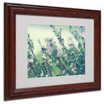 Trademark Fine Art 11" x 14" Acrylic Memories of Summer, Wood Frame