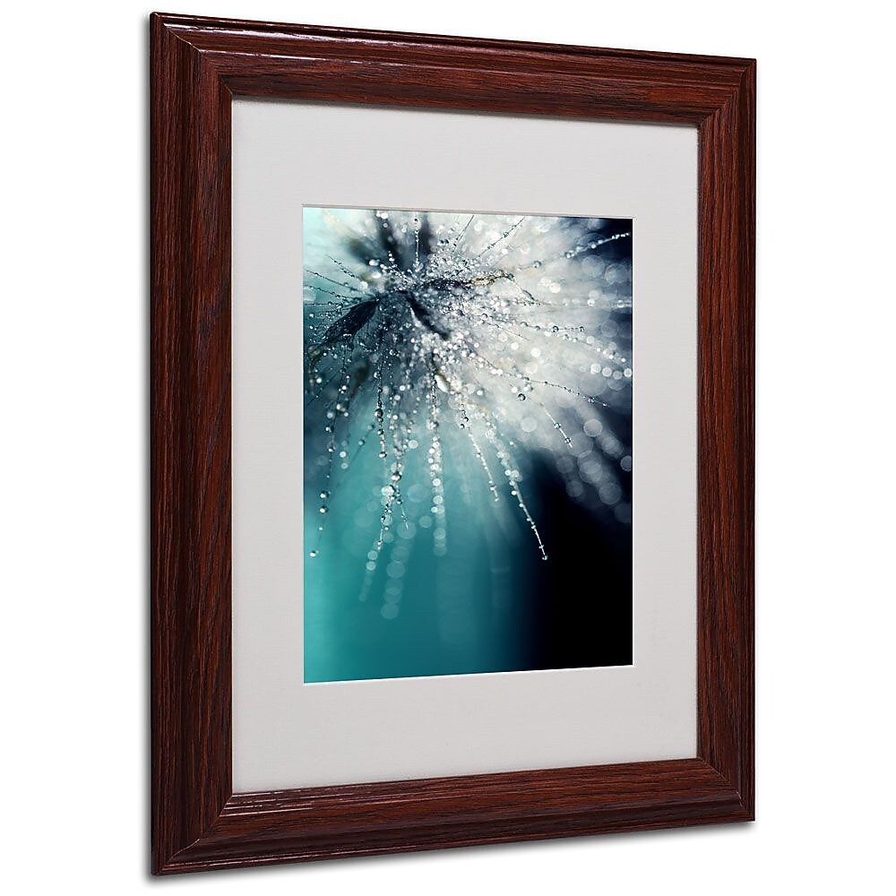 Trademark Fine Art 14" x 11" Acrylic Morning Sonata, Wood Frame