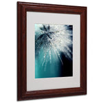 Trademark Fine Art 14" x 11" Acrylic Morning Sonata, Wood Frame