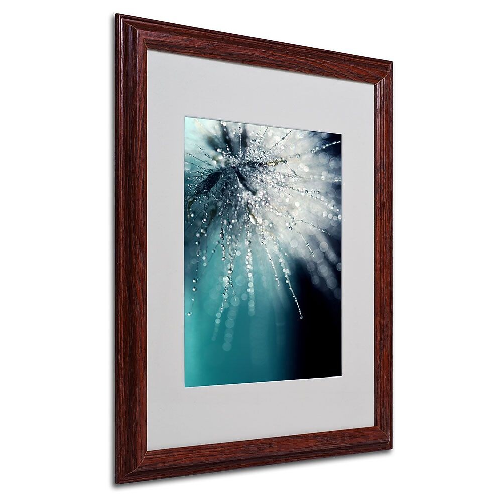 Trademark Fine Art 20" x 16" Canvas Morning Sonata, Wood Frame