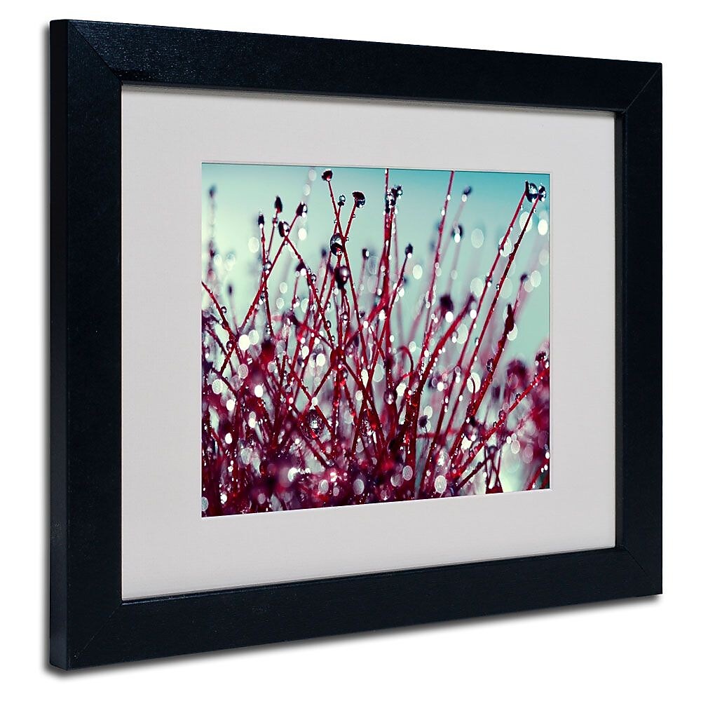 Trademark Fine Art 11" x 14" Acrylic Morning Tunes, Black Frame