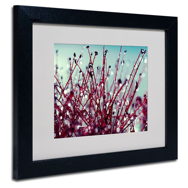 Trademark Fine Art 11" x 14" Acrylic Morning Tunes, Black Frame