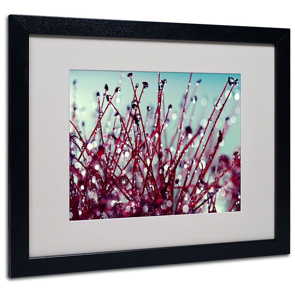 Trademark Fine Art 16" x 20" Acrylic/Canvas/Wood Matted Framed Art, Black Frame