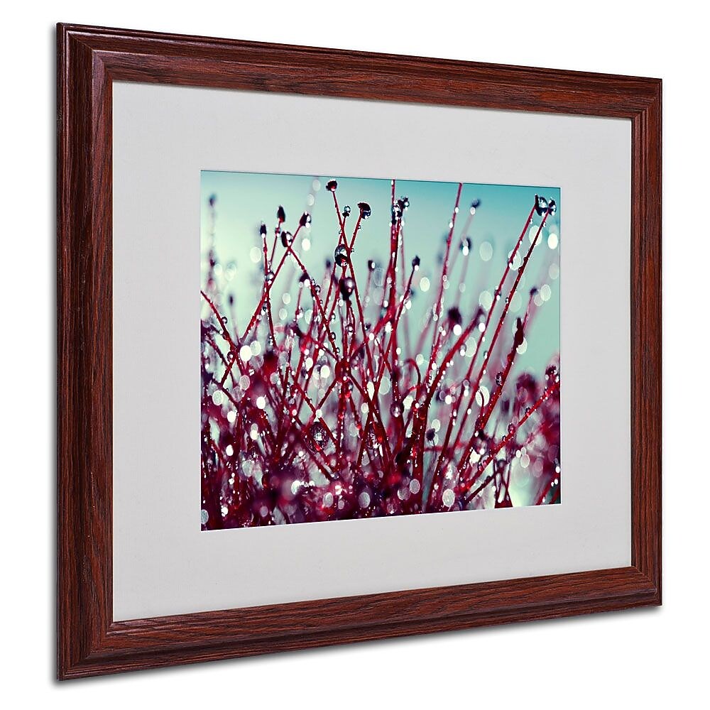 Trademark Fine Art 16" x 20" Acrylic/Canvas/Wood Matted Framed Art, Wood Frame