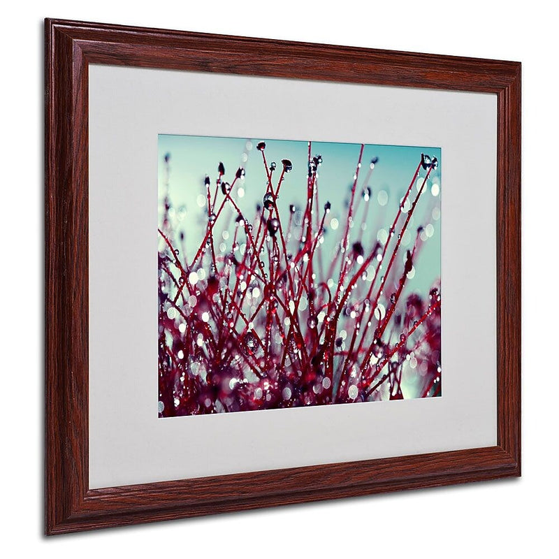 Trademark Fine Art 16" x 20" Acrylic/Canvas/Wood Matted Framed Art, Wood Frame