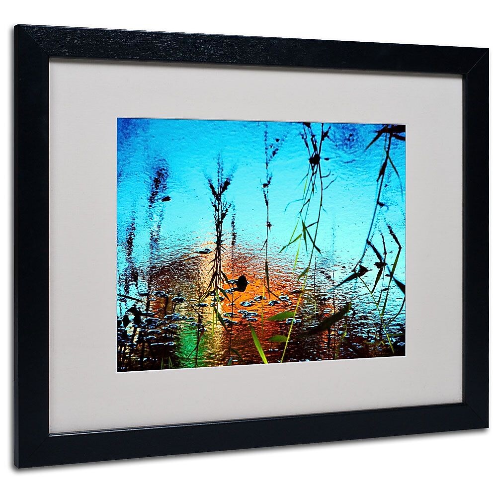 Trademark Fine Art 16" x 20" Acrylic Painted by Nature, Black Frame