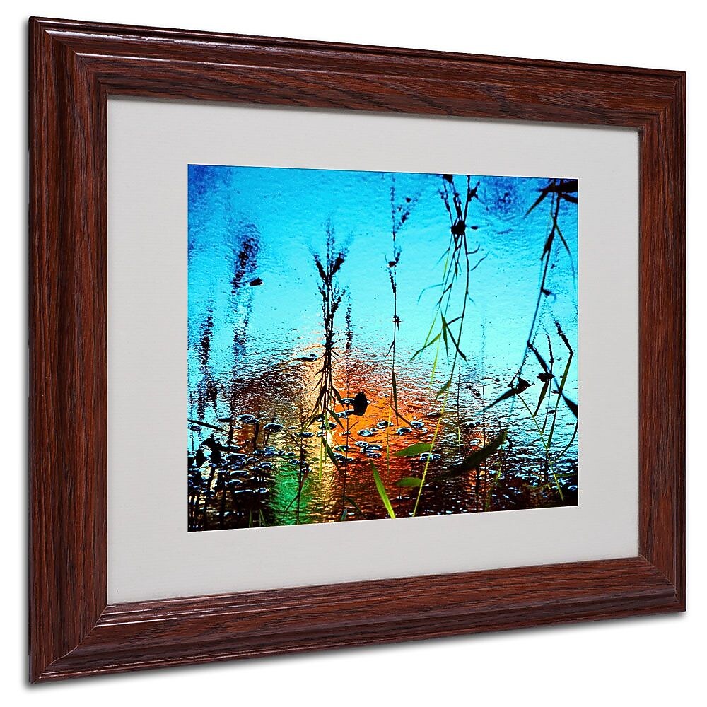 Trademark Fine Art 11" x 14" Acrylic Painted by Nature, Wood Frame