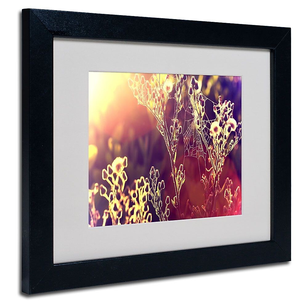 Trademark Fine Art 11" x 14" Painting Light, Black Frame