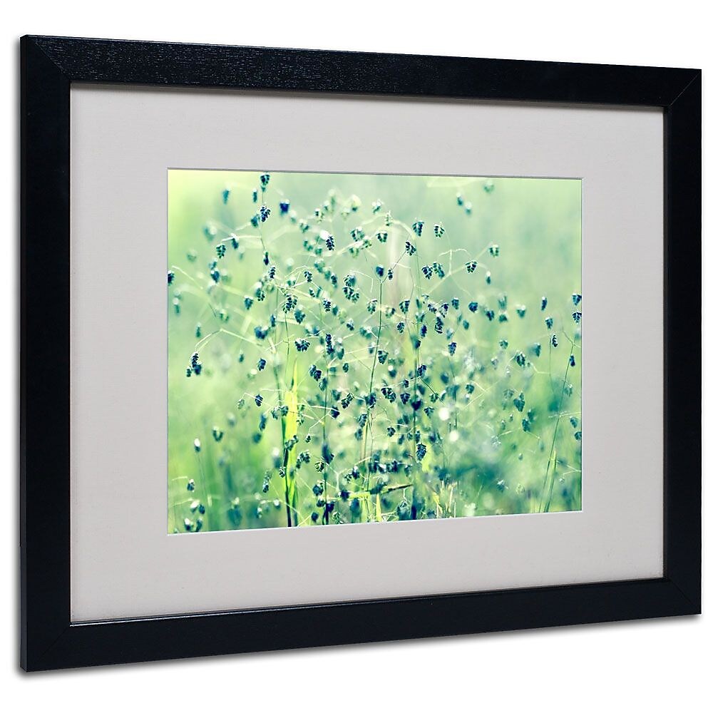 Trademark Fine Art 16" x 20" Acrylic Spring Notes, Black Frame