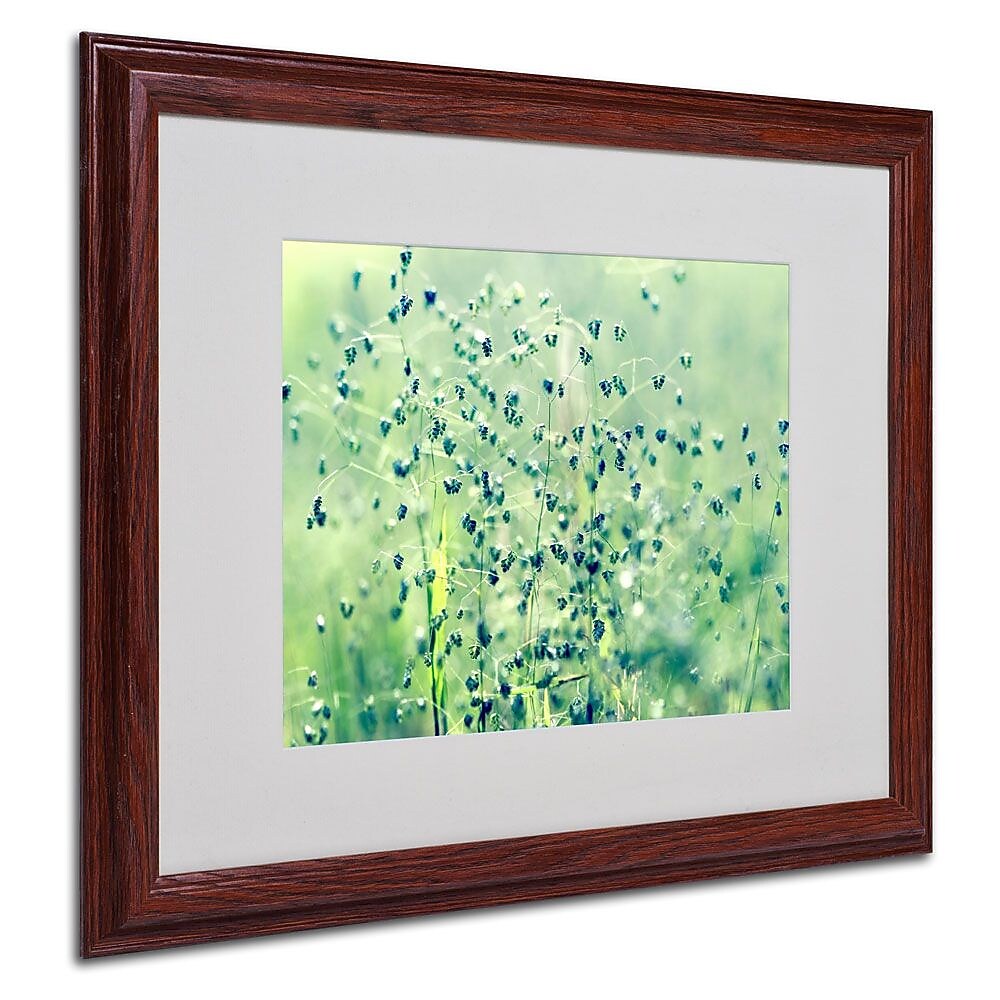 Trademark Fine Art 16" x 20" Acrylic Spring Notes, Wood Frame