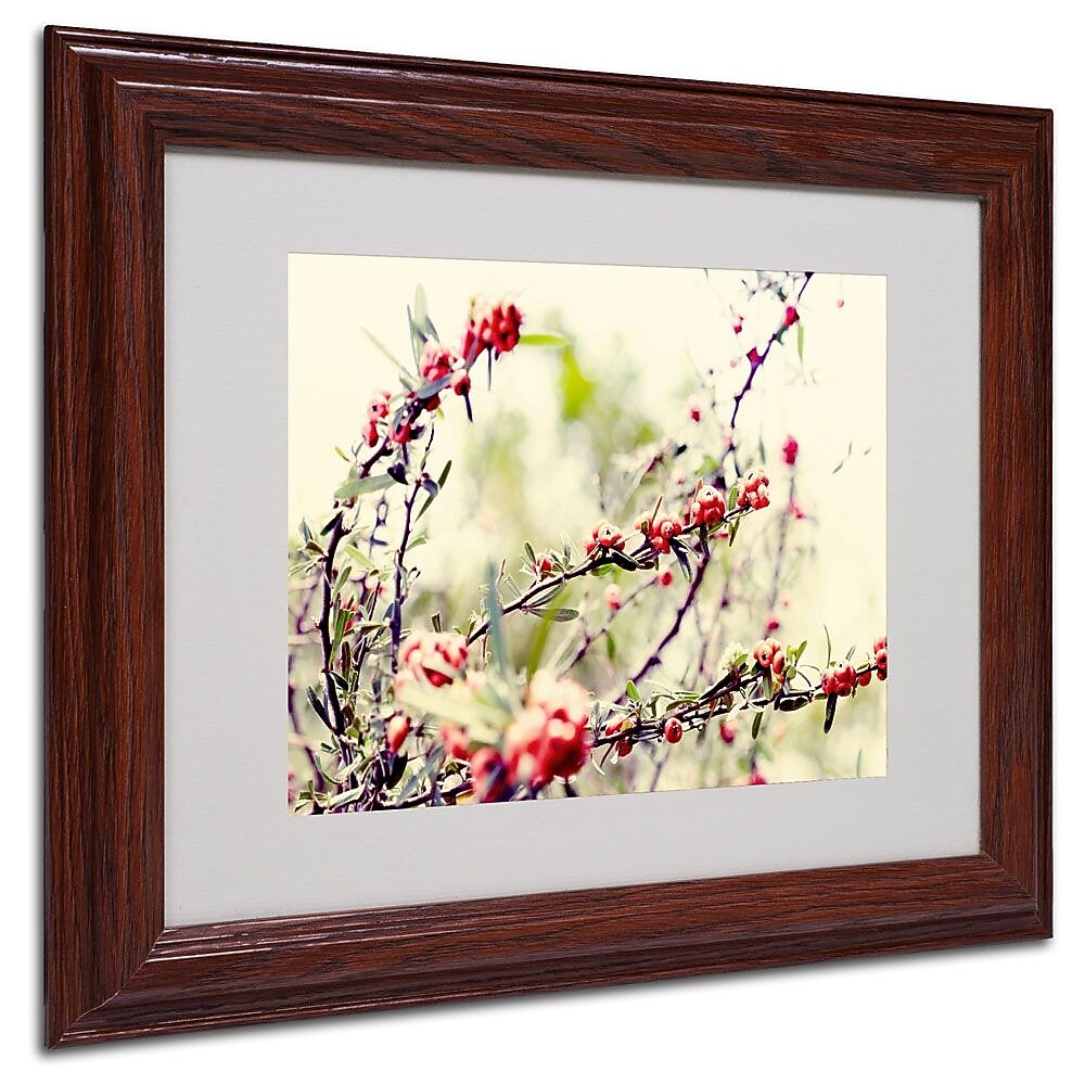 Trademark Fine Art 11" x 14" Acrylic Summer Melody, Wood Frame