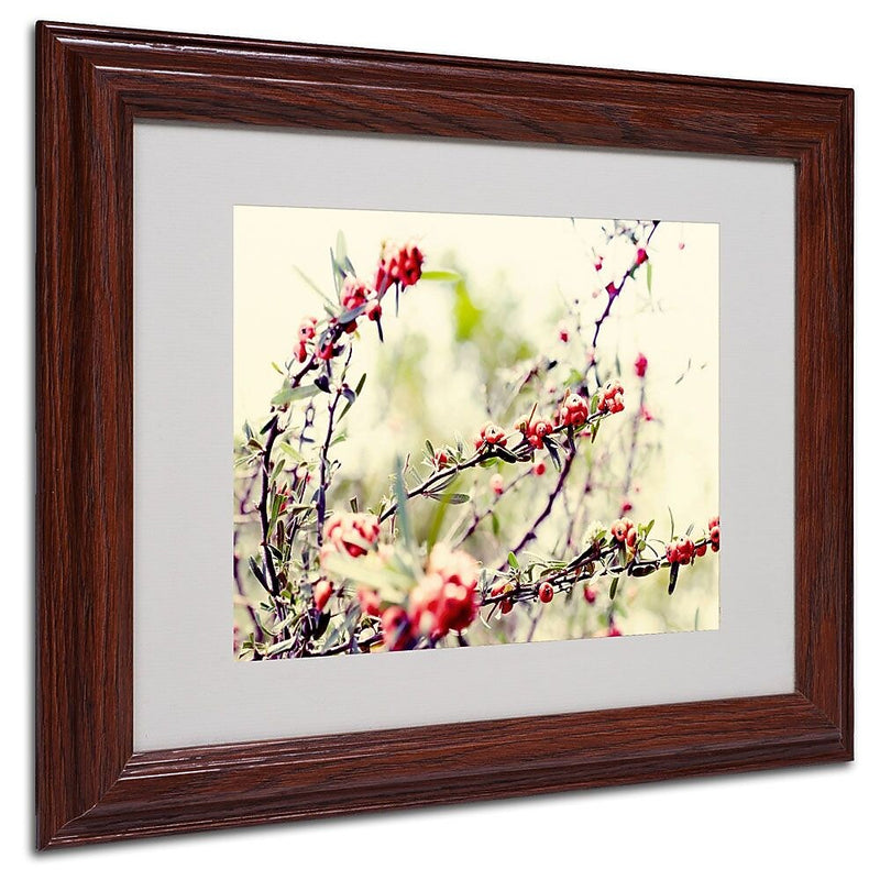 Trademark Fine Art 11" x 14" Acrylic Summer Melody, Wood Frame