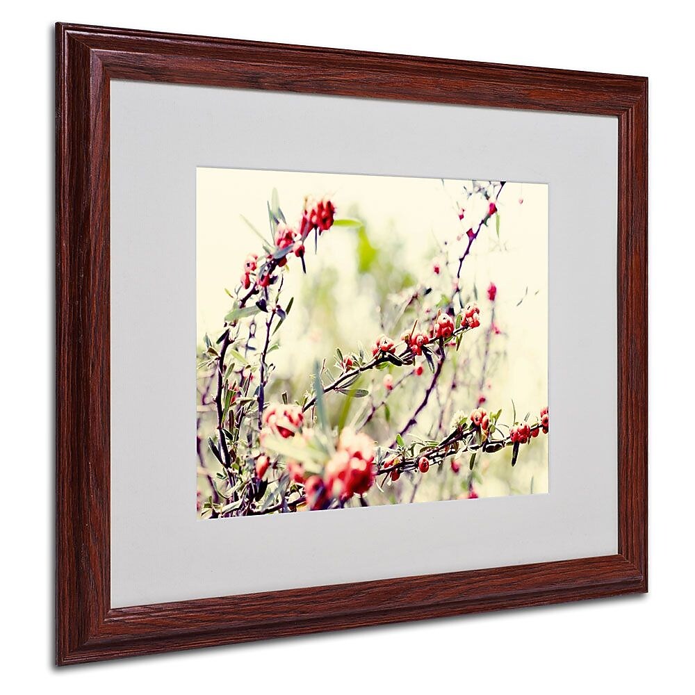 Trademark Fine Art 16" x 20" Acrylic Summer Melody, Wood Frame