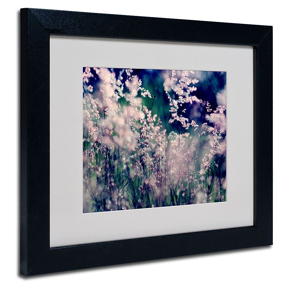 Trademark Fine Art 11" x 14" Acrylic Sweet Emotions, Black Frame