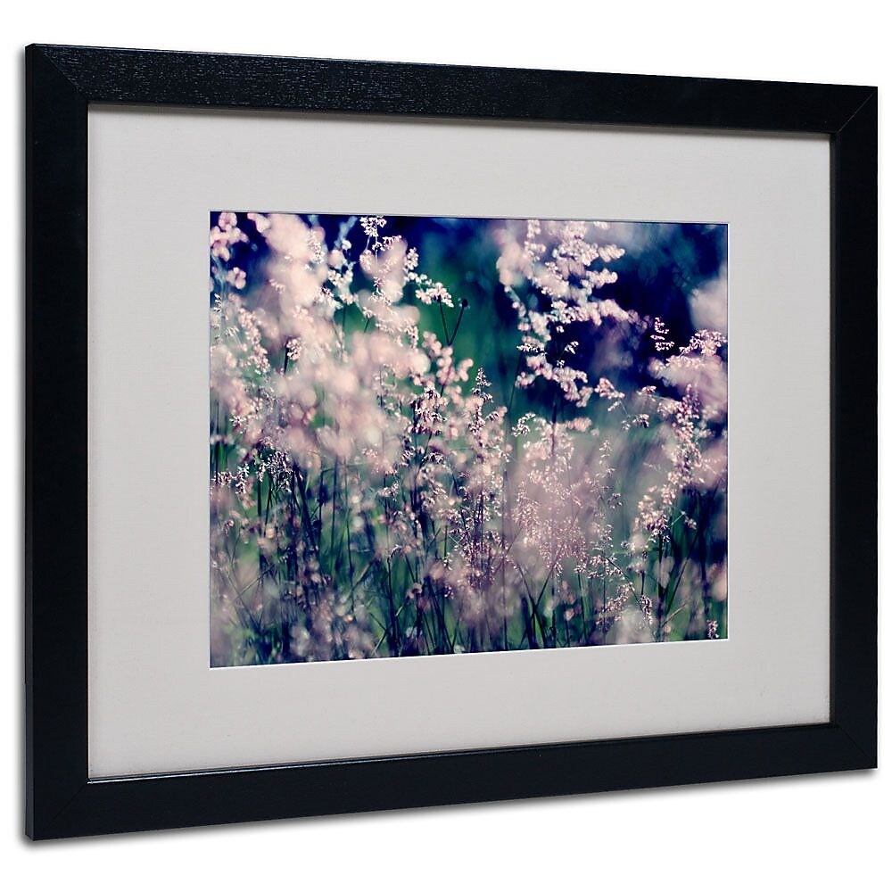 Trademark Fine Art 16" x 20" Acrylic Sweet Emotions, Black Frame