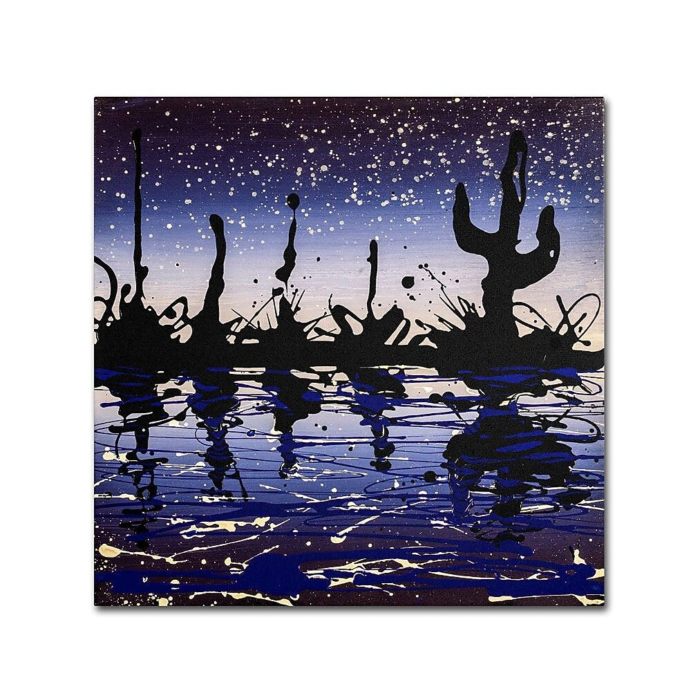 Trademark Fine Art 18" x 18" Wooden Frame Desert Lake