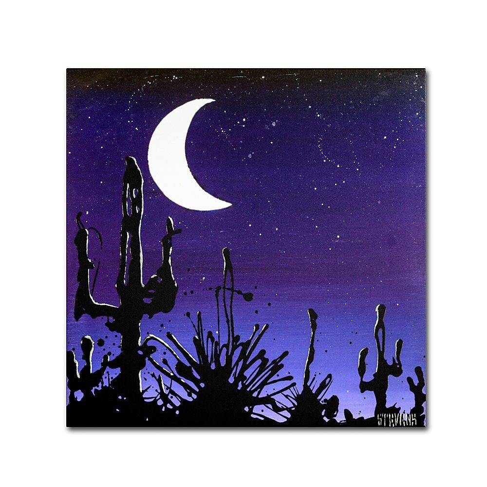 Trademark Fine Art 35" x 35" Wooden Frame Desert Moon