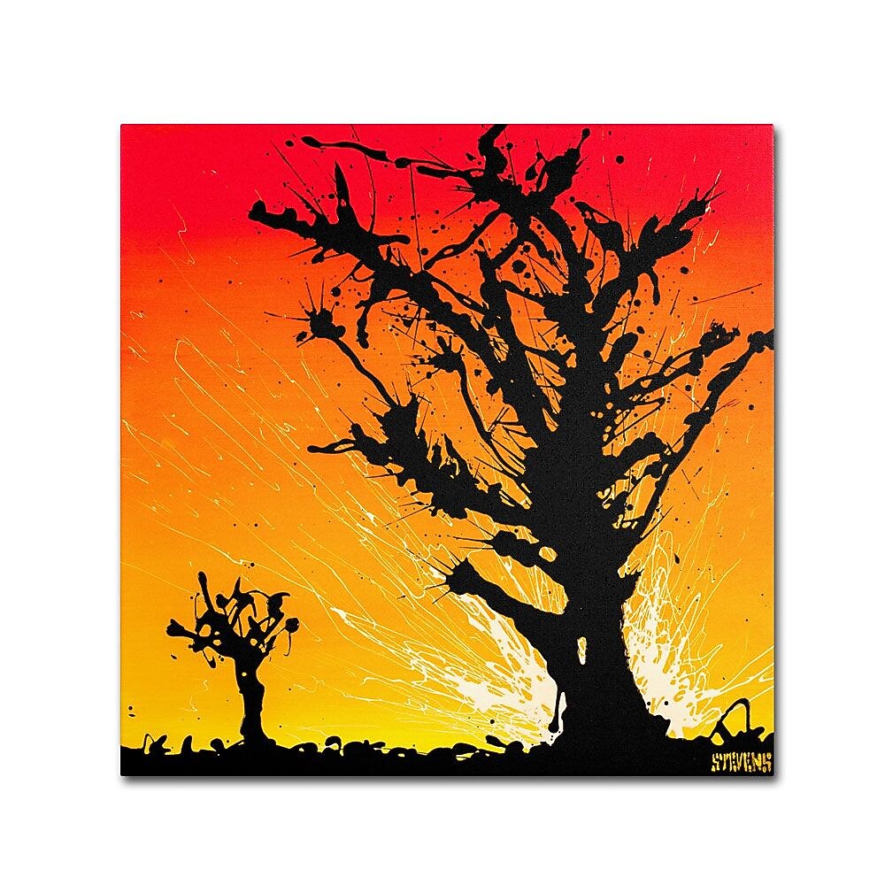 Trademark Fine Art 14" x 14" Wooden Frame Joshua Sunburst Artwork
