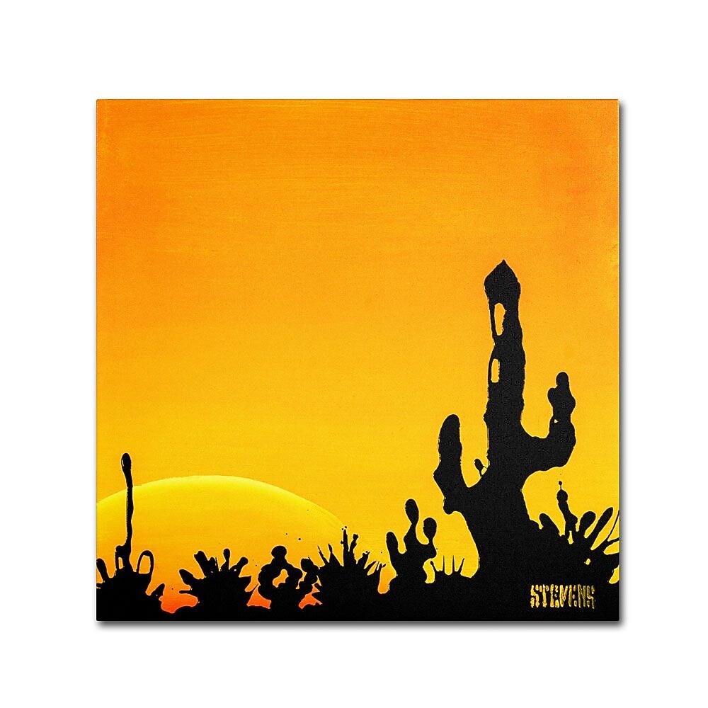 Trademark Fine Art 14" x 14" Wooden Frame Saguaro Sunset