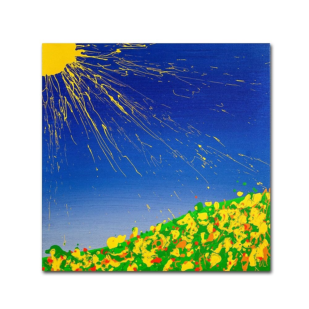 Trademark Fine Art 24" x 24" Wooden Frame Sunny Field