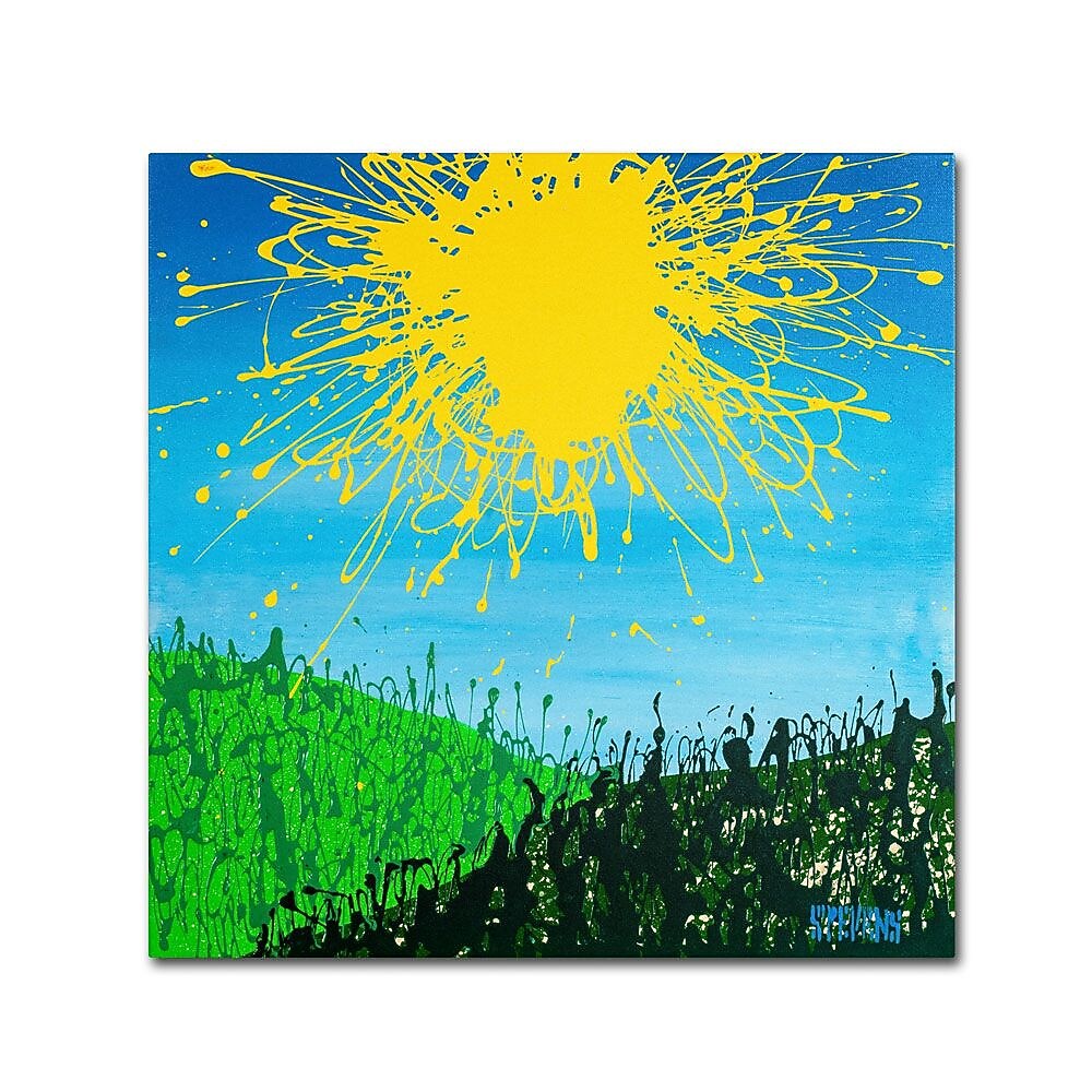 Trademark Fine Art 24" x 24" Wooden Frame Sun Valley