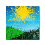Trademark Fine Art 14" x 14" Wooden Frame Sun Valley