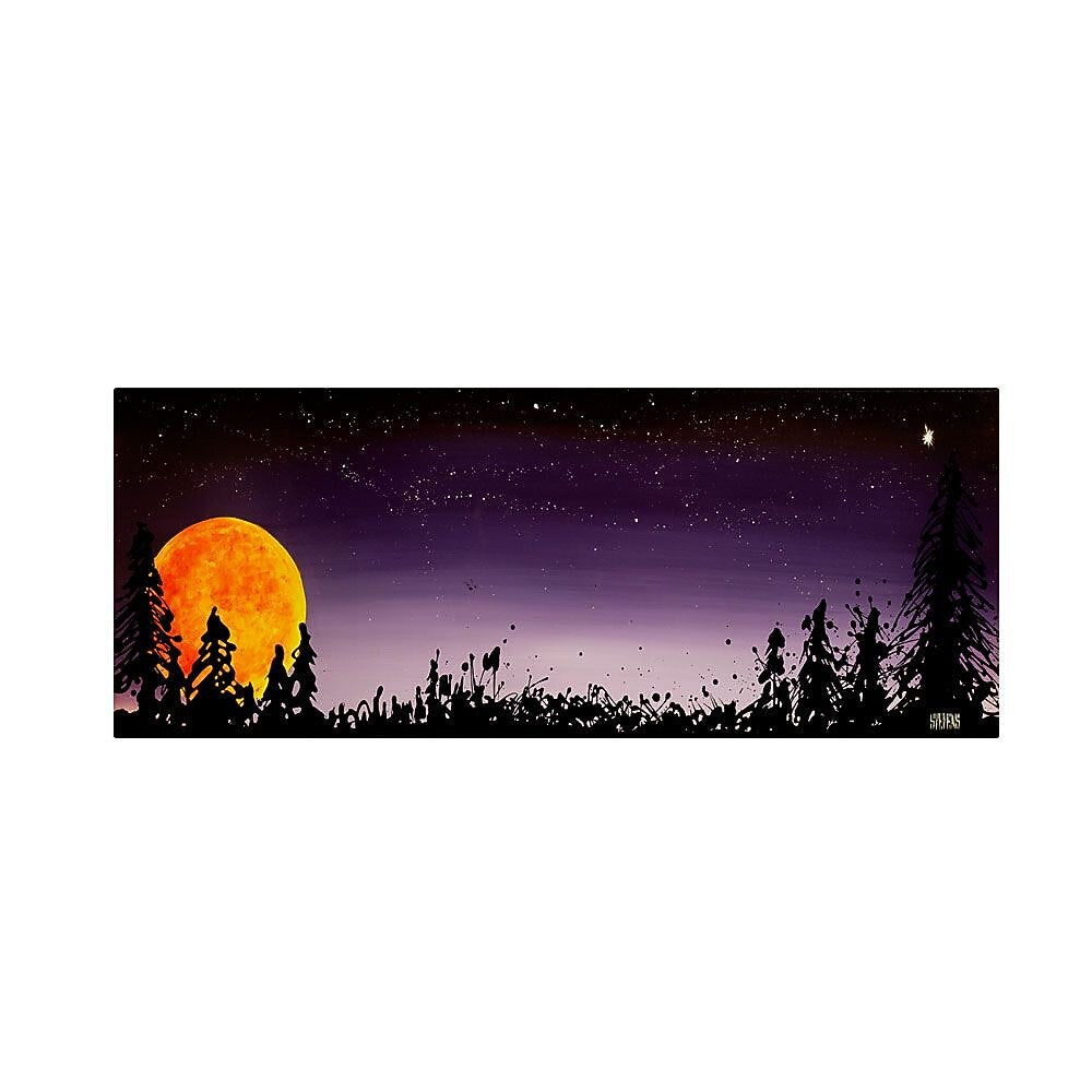 Trademark Fine Art 10"x 32" Wooden Frame Washington Moonrise