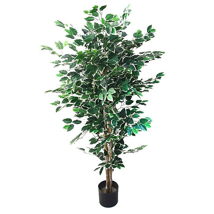 Trademark Fine Art 20" x 20" Plastic Trees