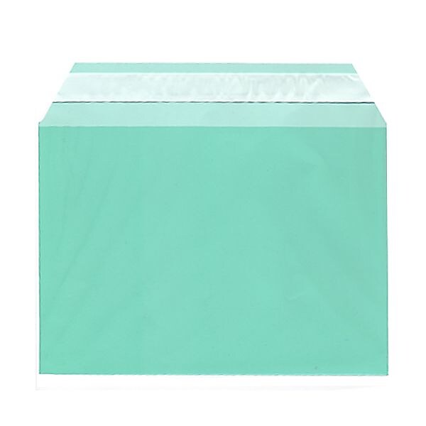 JAM Paper Cellophane Envelope with Self-Adhesive Closure, 5.0625 x 7.1875, Green, 100/Pack (2783135)