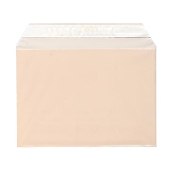 JAM Paper Cellophane Envelope with Self-Adhesive Closure, 5.0625 x 7.1875, Peach, 100/Pack (2785508)