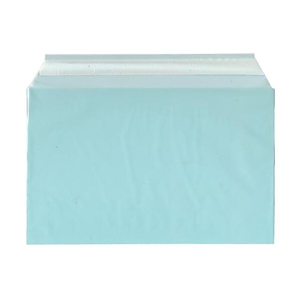 JAM Paper Cellophane Envelope with Self-Adhesive Closure, 5.4375 x 8.625, Aqua Blue, 100/Pack (2784901)
